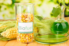 Storrs biofuel availability